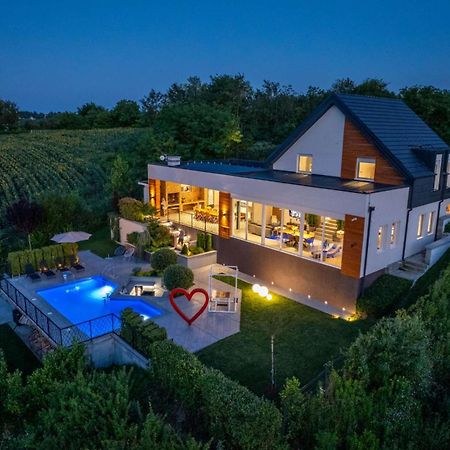 Riverside Pool Villa-Sremski Karlovci Extérieur photo