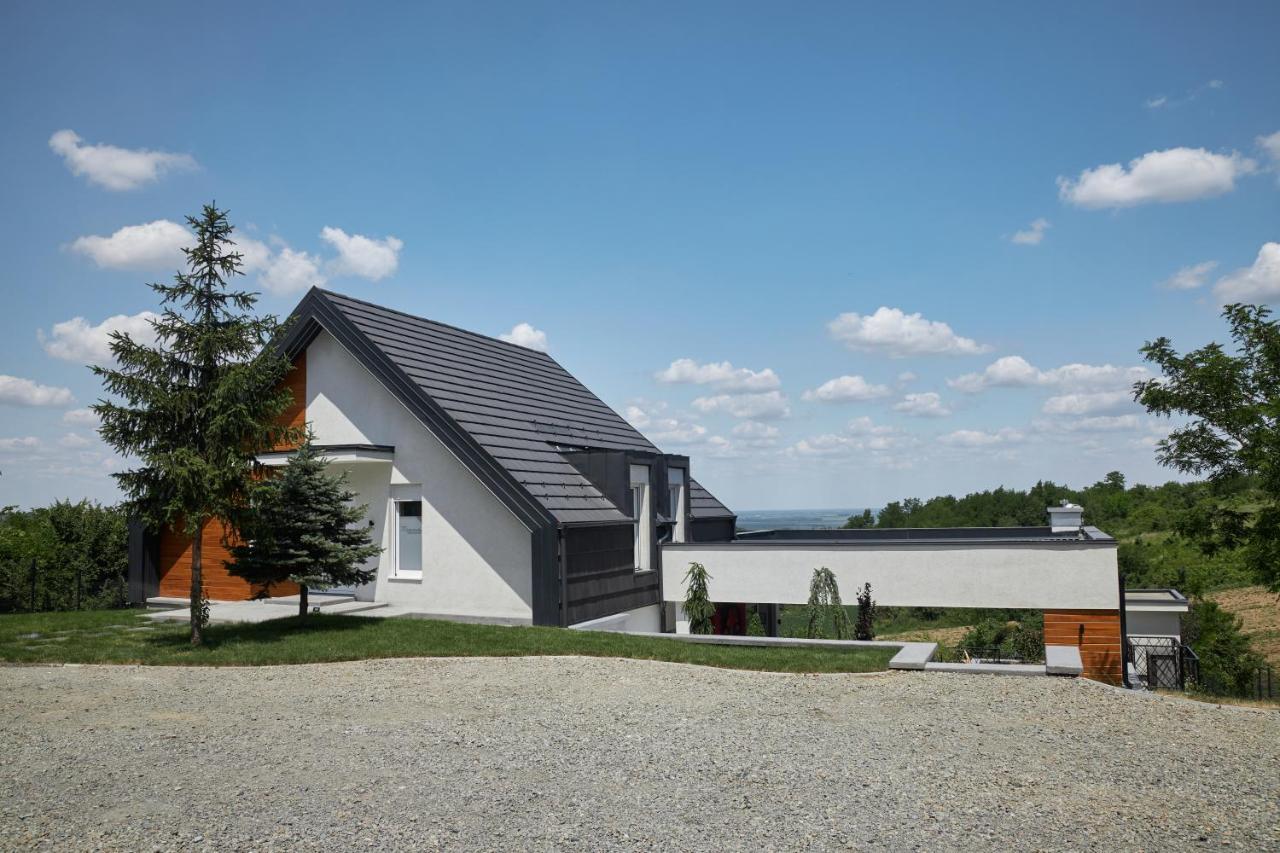 Riverside Pool Villa-Sremski Karlovci Extérieur photo