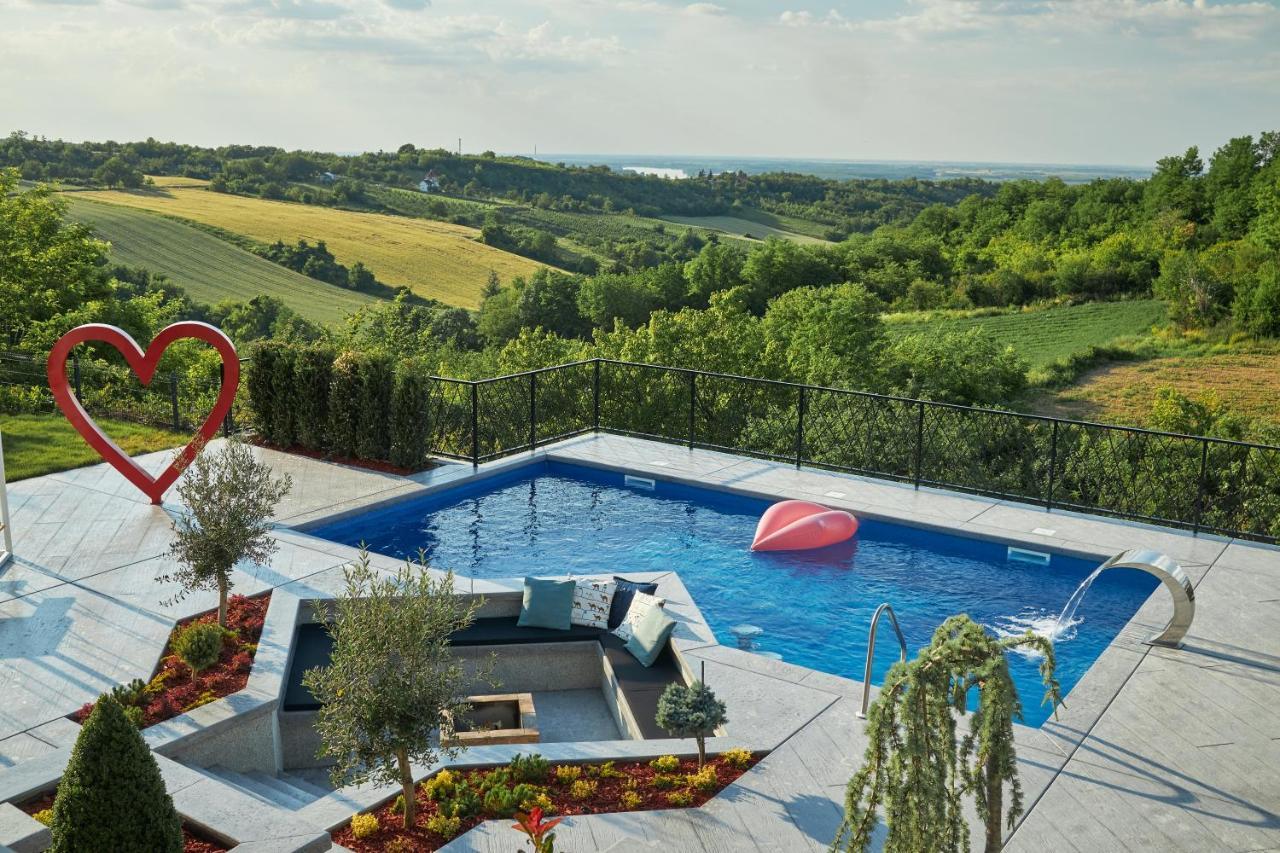 Riverside Pool Villa-Sremski Karlovci Extérieur photo