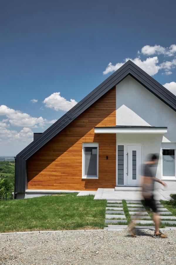 Riverside Pool Villa-Sremski Karlovci Extérieur photo