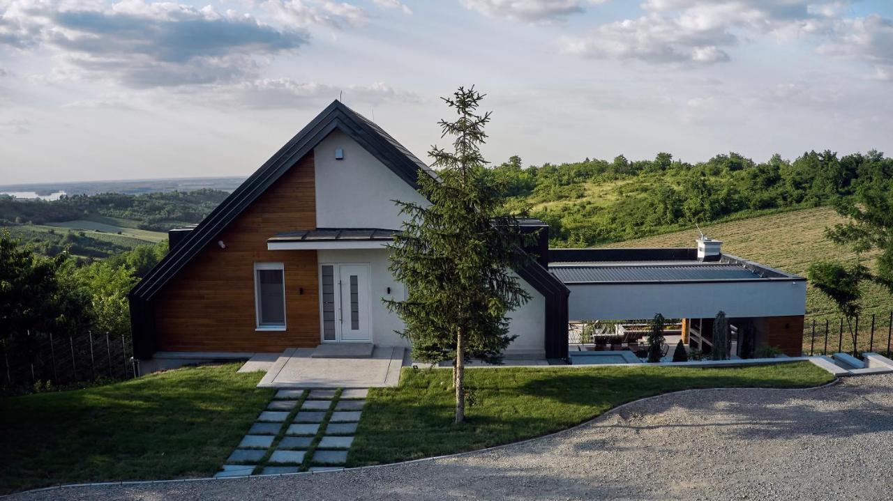 Riverside Pool Villa-Sremski Karlovci Extérieur photo
