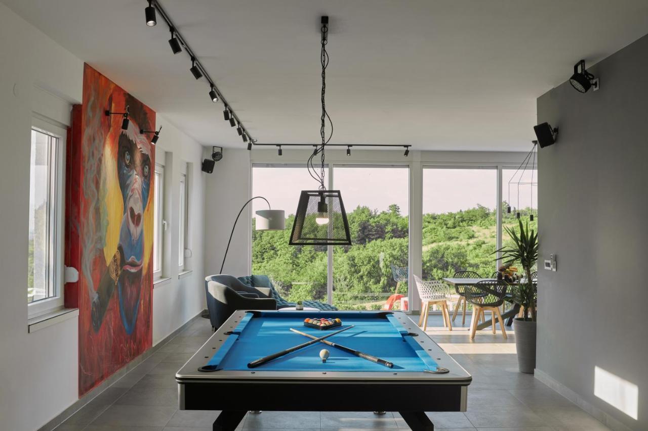 Riverside Pool Villa-Sremski Karlovci Extérieur photo